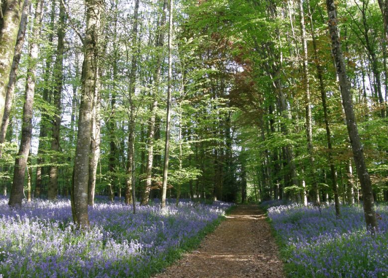 PARC DU CHÂTEAU DE BEAUPRÉAU