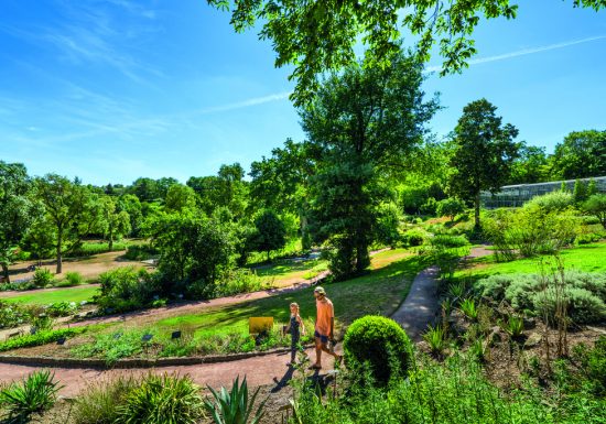 Immersion végétale au fil des saisons