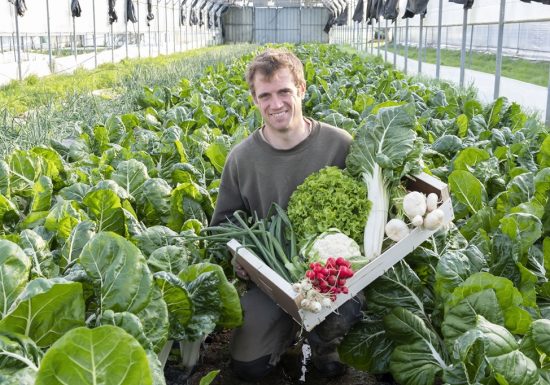 La Ferme du Cormier, maraicher biologique