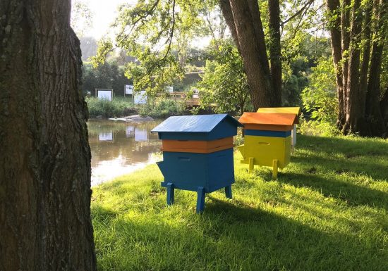 Salles de séminaires Famille Mary