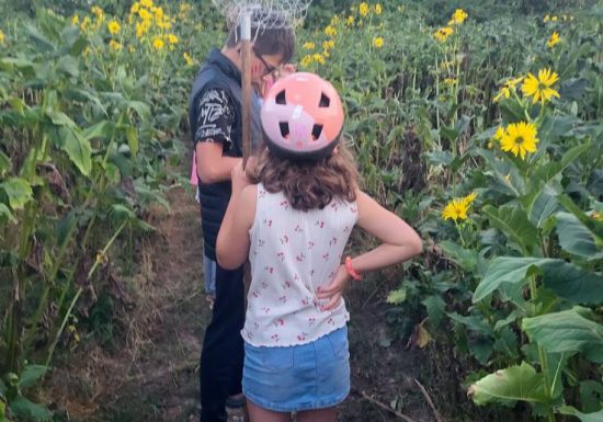Labyrinthe géant en famille à la ferme de la Guyonnière