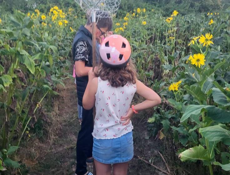 Labyrinthe géant en famille à la ferme de la Guyonnière