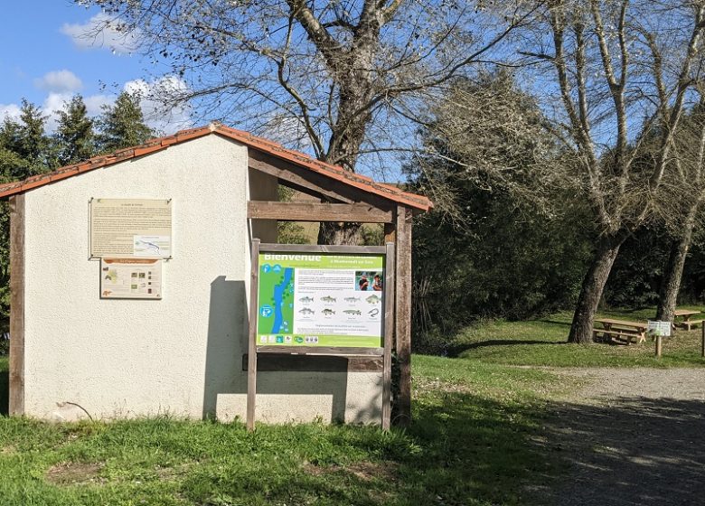 Pêche au Corneau à La Boissière-sur-Evre