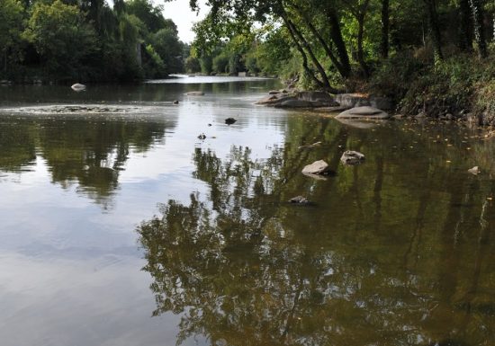 Pêche au chemin du Foulon