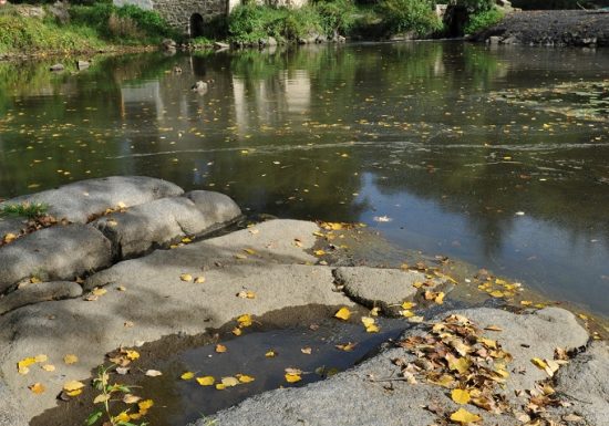 Pêche au chemin du Foulon