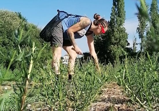 Le simple jardin de Claudine, productrice et créatrice inspirée par les plantes