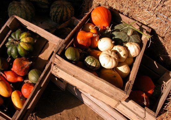Ferme de La Corbière
