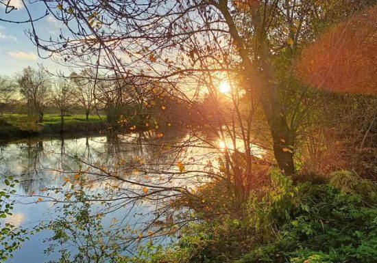 Randonnée « Le calcaire et le végétal »