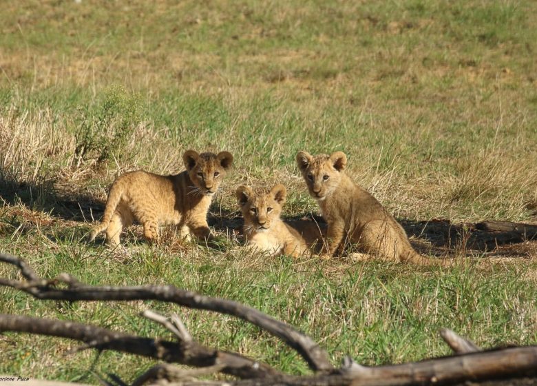 ZOO DE LA BOISSIERE DU DORE