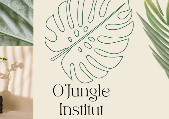 O&rsquo;Jungle Institut