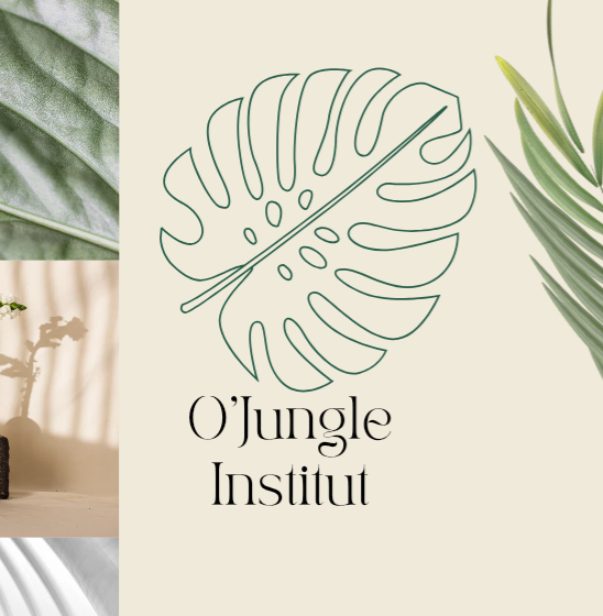 O&rsquo;Jungle Institut