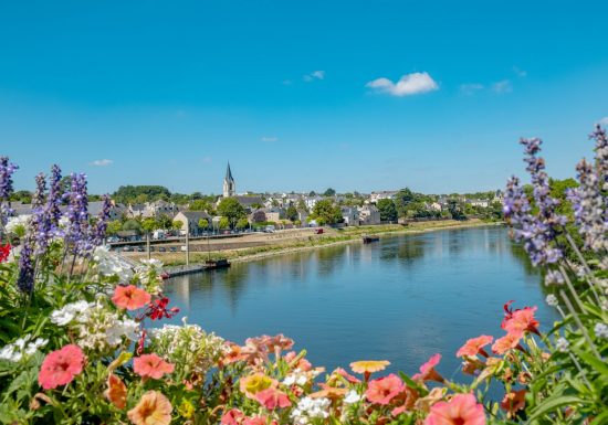 Route des vins – Loire sauvage et corniche angevine