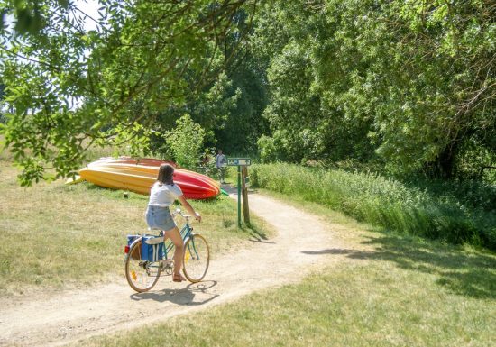 La Loire à Vélo, de Champtoceaux à Liré « Entre boire et histoire »