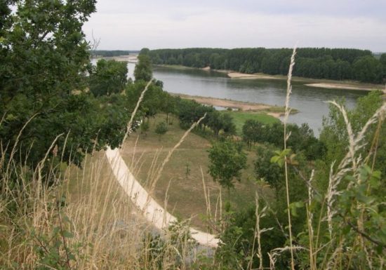 Parcours de pêche à Saint-Florent-le-Vieil