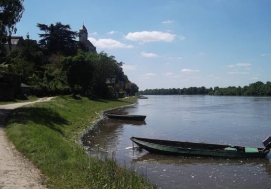Parcours de pêche à Saint-Florent-le-Vieil