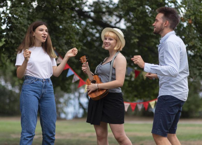 Meeple Mi&rsquo;zic Festival