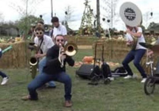 Marché aux Cucurbitacées : 26ème édition