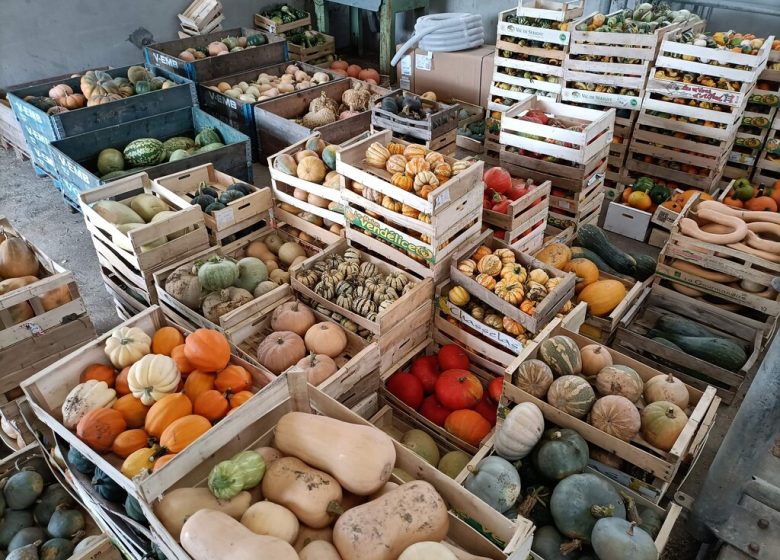 Marché aux Cucurbitacées : 26ème édition