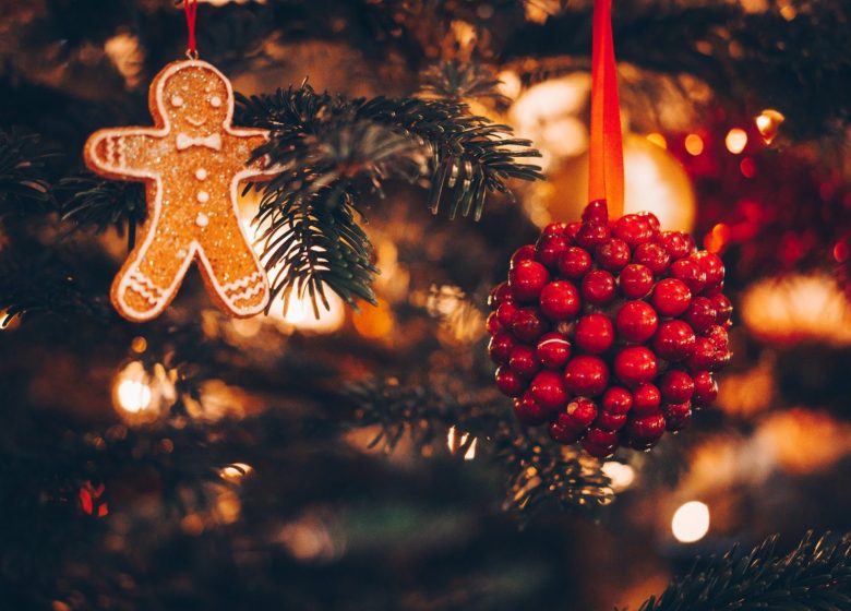 Féérie de Noël à Chemillé