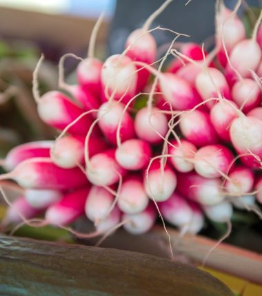 Marché hebdomadaire à Torfou