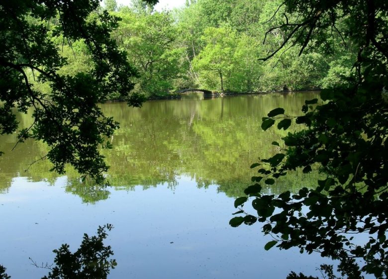 Parc du château du Martreil