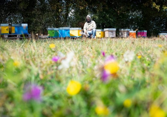 Miellerie Les 3 Vallées