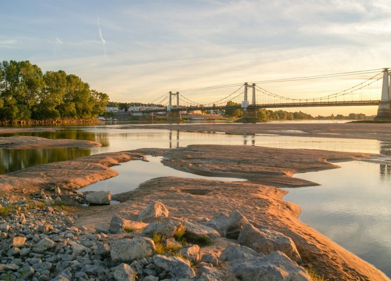 Boucle à vélo de Montjean-sur-Loire à Chalonnes sur Loire en passant sur l’île de Chalonnes