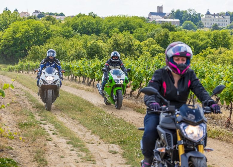 ROUTES DES VINS PANORAMAS DE LOIRE