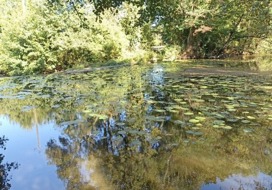 Le moulin de Jousselin sur les bords de l’Evre
