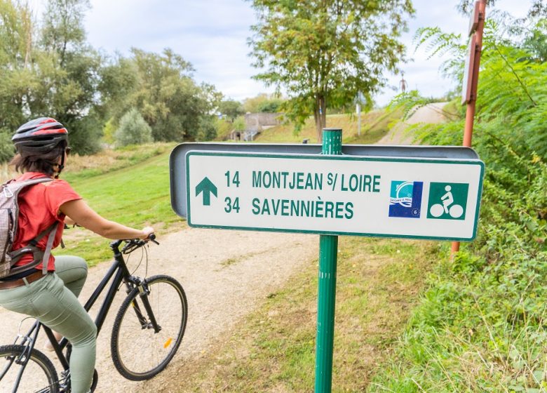 Boucle à vélo de Montjean-sur-Loire à Chalonnes sur Loire en passant sur l’île de Chalonnes