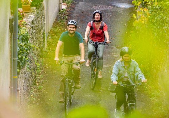 Boucle à vélo de Montjean-sur-Loire à Chalonnes sur Loire en passant sur l’île de Chalonnes