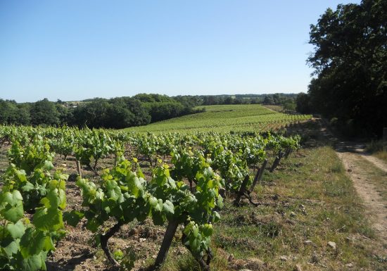 Domaine de La Garnière