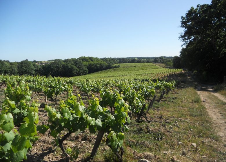 DOMAINE DE LA GARNIÈRE