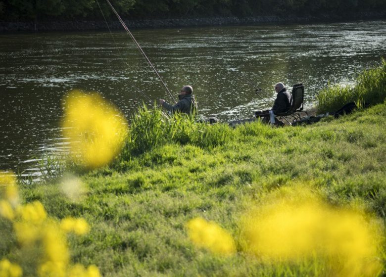 Étang de pêche de Coulvée