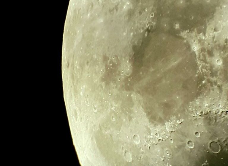 Guinguette Les Babins : Nuit des étoiles