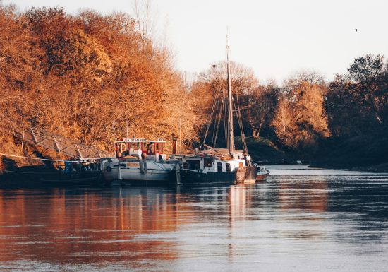 La Queue de l&rsquo;Île
