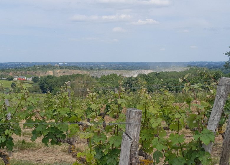 Balade touristique guidée à vélo à Montjean-sur-Loire