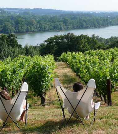 Panorama du domaine des Génaudières
