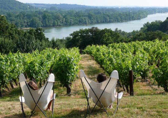 Panorama du domaine des Génaudières