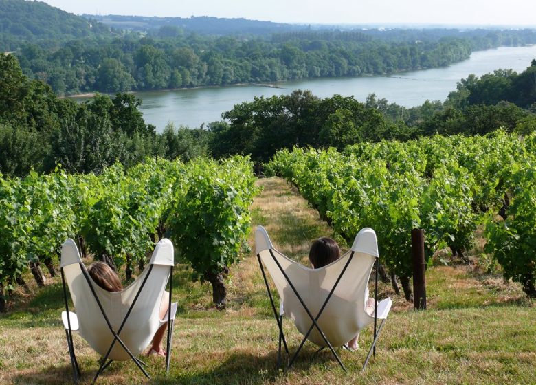 Panorama du domaine des Génaudières