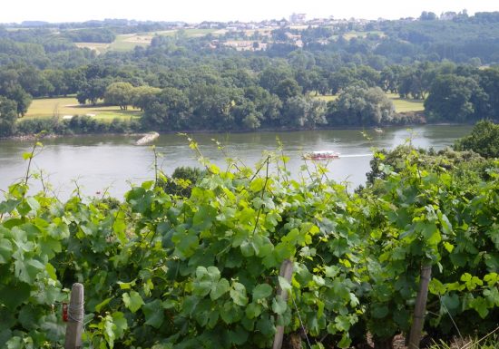 Panorama du domaine des Génaudières