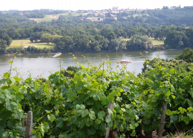 Panorama du domaine des Génaudières