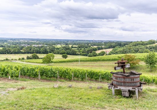 Domaine du Haut-Puiset