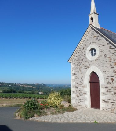 Panorama sur les Coteaux de Loire aux Galloires