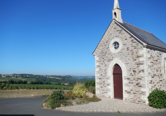 Panorama sur les Coteaux de Loire aux Galloires