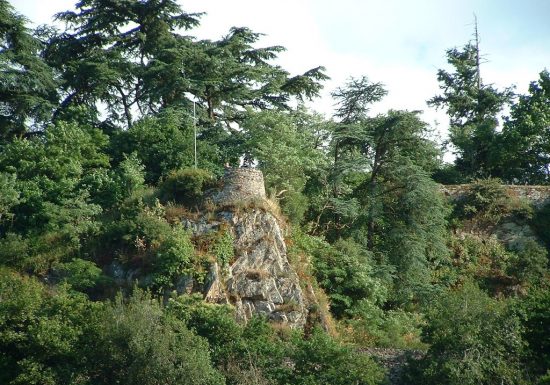 Champto trail d&rsquo;Orée : 2ème édition