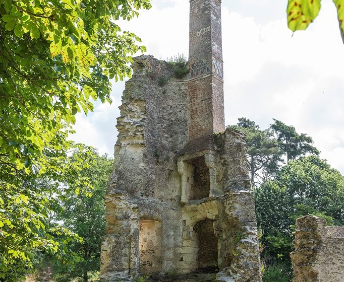 RUINES DU MANOIR DE LA TURMELIERE