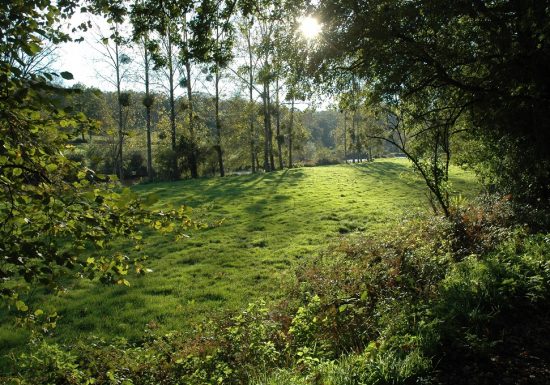 Randonnée « Bornéo »