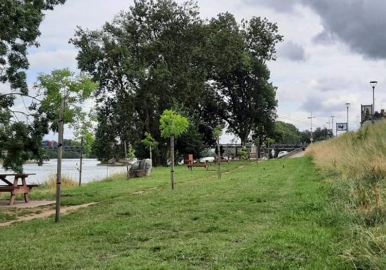 Parcours pêche de Montjean sur Loire