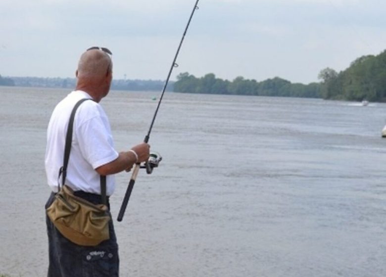 Parcours pêche de Montjean sur Loire